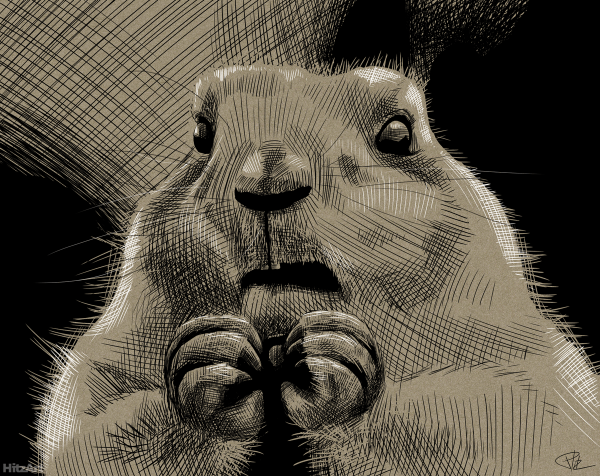 Prairie Doggin