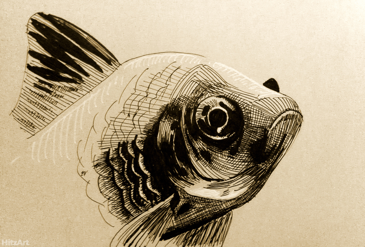 Goldyfish